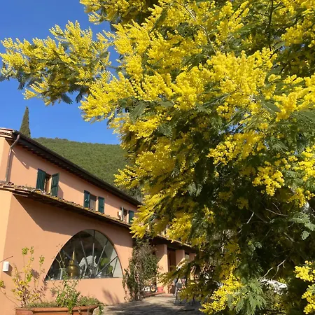 Villino Glicine *